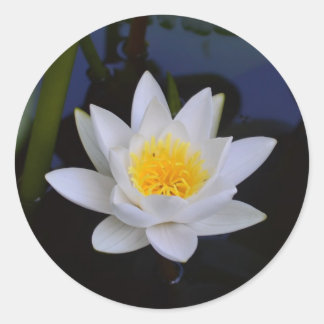 White Lotus Blume Runder Aufkleber