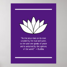 White Lotus Blume und Buddha Zitat