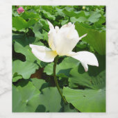White Lotus Blume Weinetikett (Einzelnes Label)