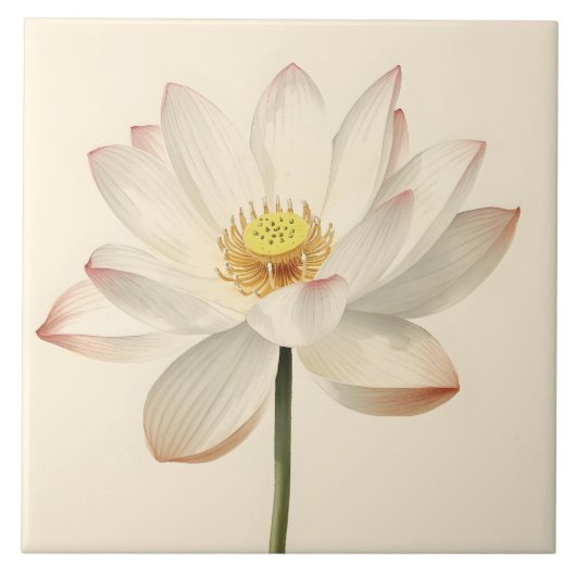 White Lotus Flower Fliese (Vorderseite)