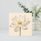 White Lotus Flower Karte (Stehend Vorderseite)