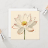 White Lotus Flower Karte (Vorderseite/Rückseite Beispiel)