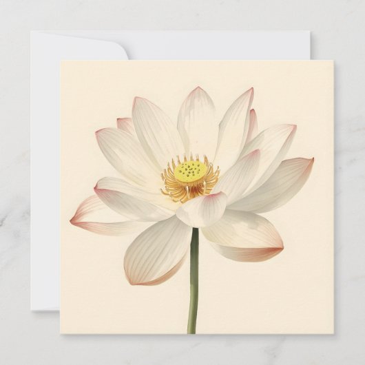 White Lotus Flower Karte (Vorderseite)