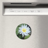 White Lotus Magnet (In Situ (Geschirrspüler))