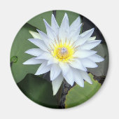 White Lotus Magnet (Vorne)