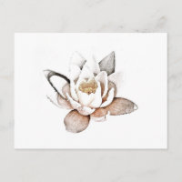 WHITE LOTUS POSTCARD