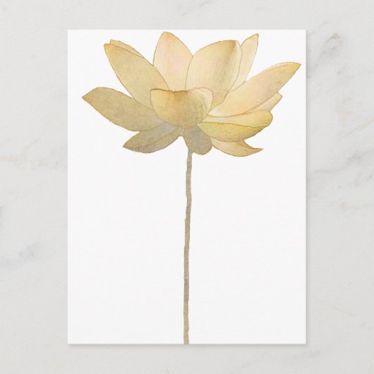 White Lotus Postcard Postkarte (Vorderseite)