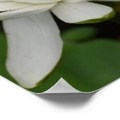 White Lotus Poster (Ecke)