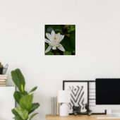 White Lotus Poster (Heimbüro)