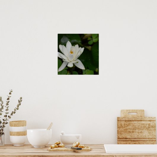 White Lotus Poster (Küche)