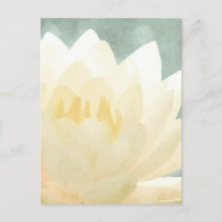 White Lotus Postkarte