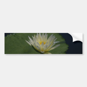 White Lotus Wasserlilie Autoaufkleber