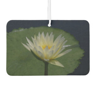 White Lotus Wasserlilie Autolufterfrischer