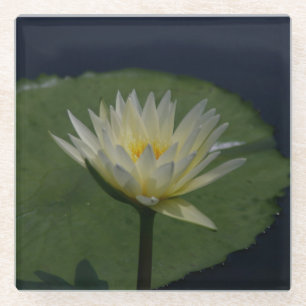 White Lotus Wasserlilie Glasuntersetzer