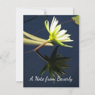 White Lotus Wasserlilie Mitteilungskarte