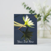 White Lotus Wasserlilie Postkarte (Stehend Vorderseite)