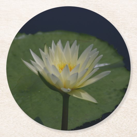White Lotus Wasserlilie Runder Pappuntersetzer (Vorderseite)