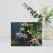 White Lotus Wasserlilien Postcard Postkarte (Stehend Vorderseite)