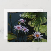 White Lotus Wasserlilien Postcard Postkarte (Vorne/Hinten)