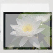 White Lotus Waterllly Blume (Vorne/Hinten)