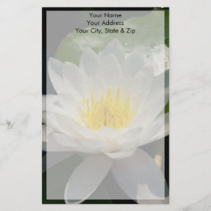 White Lotus Waterllly Blume Briefpapier