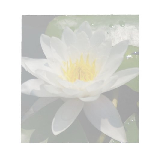 White Lotus Waterllly Blume Notizblock (Vorderseite)