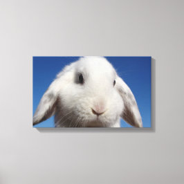 White Love Leinwanddruck