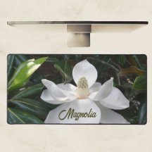 White Magnolia Blossom Floral Fotografie