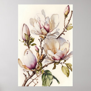 White Magnolia Blume Art Print Poster