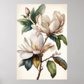 White Magnolia Blume Art Print Poster (Vorne)