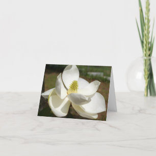 White Magnolia Blume auf einer Dankeskarte