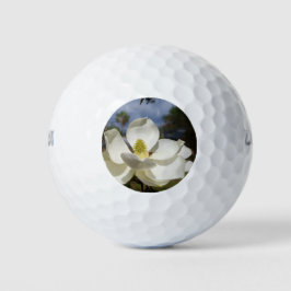 White Magnolia Blume und eine Biene auf Golfball