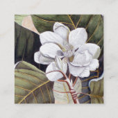 White Magnolia Blume Vintag Botanisch Quadratische Visitenkarte (Rückseite)
