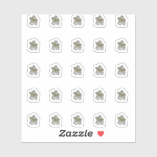 White Magnolia Contour Stickers Aufkleber