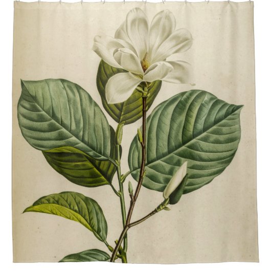 White Magnolia Duschvorhang (Vorderseite)
