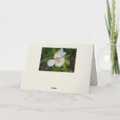 White Magnolia Fotografic Botanical Dankeskarte (Rückseite)