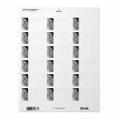 White Magnolia - Hochzeitsadressen Adressaufkleber (Vorne)