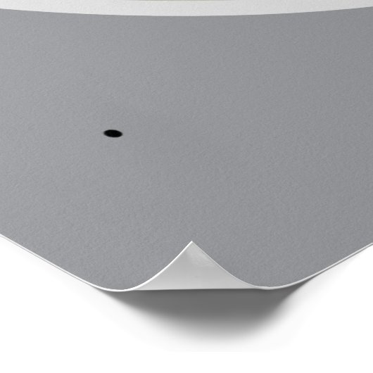                          White Magnolia            Poster (Ecke)