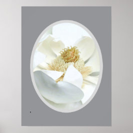 White Magnolia Poster