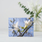 White Magnolia Postkarte (Stehend Vorderseite)