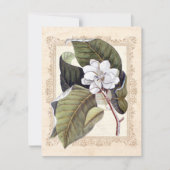 White Magnolia Süd Hochzeit retten Datum Save The Date (Vorderseite)