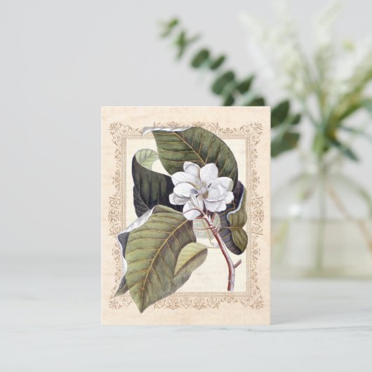 White Magnolia Süd Hochzeit retten Datum Save The Date (Stehend Vorderseite)