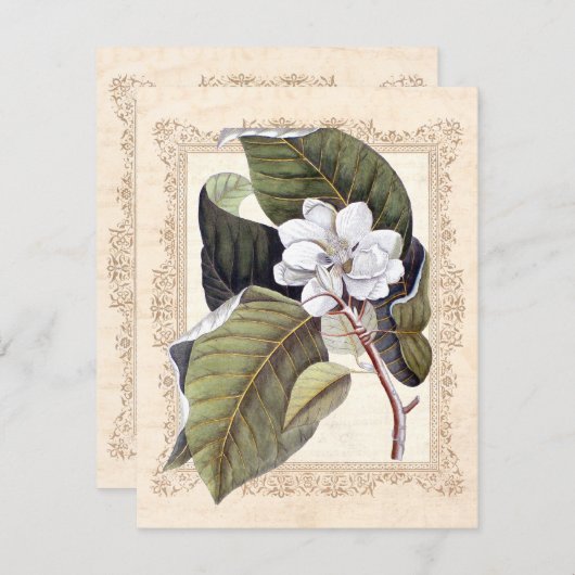 White Magnolia Süd Hochzeit retten Datum Save The Date (Vorne/Hinten)