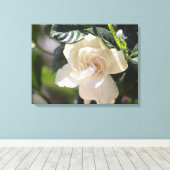 White Magnolia Wrapped Canvas Gallery Print Leinwanddruck (Insitu (Holzboden))