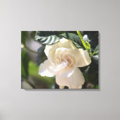 White Magnolia Wrapped Canvas Gallery Print Leinwanddruck (Vorderseite)