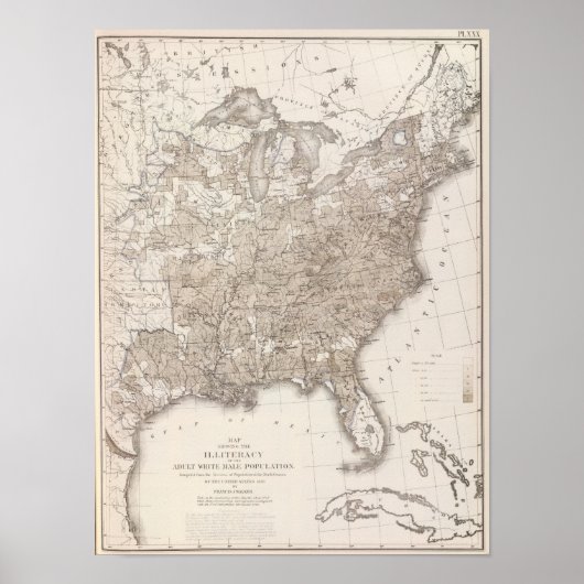 White Male Illiteracy Poster (Vorne)