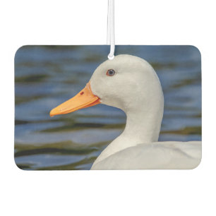 White Mallard Duck Autolufterfrischer