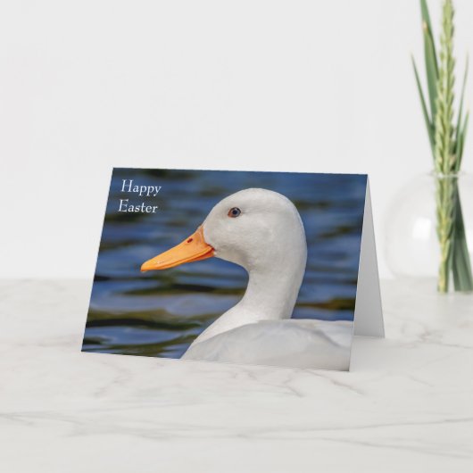 White Mallard Duck Feiertagskarte (Vorderseite)