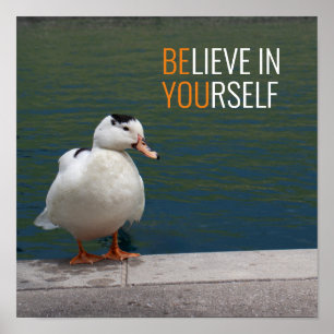 White Mallard Duck Foto Poster