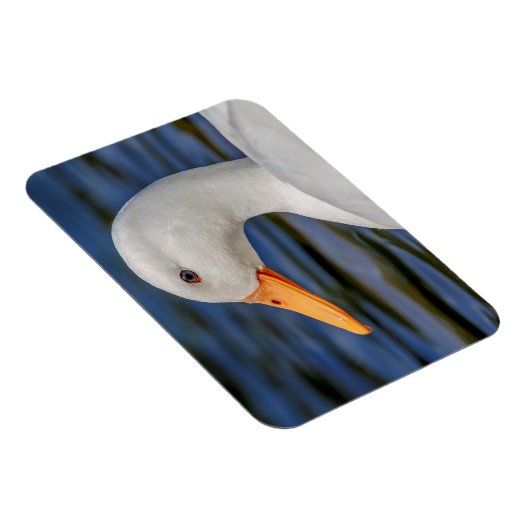 White Mallard Duck Magnet (Rechte Seite)